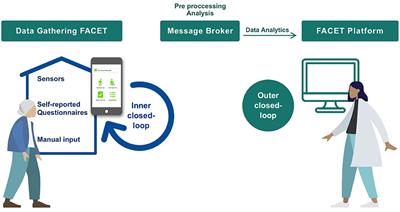 Home Monitoring System for Comprehensive Geriatric Assessment in Patient's Dwelling: System Design and UX Evaluation